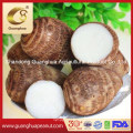 Best Quality Chinese Eddo in Bulk Taro